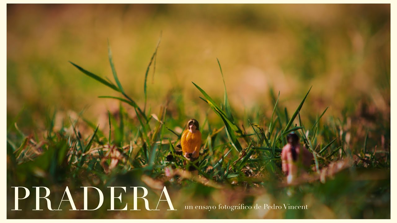 Pradera | Un ensayo fotográfico de Pedro Vincent