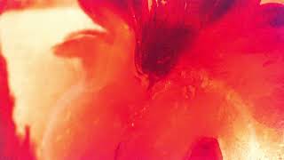 Tinlicker & Brian Molko - Nowhere To Go video