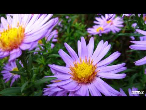 12 Dziękujmy Bogu wraz