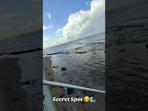 En un spot secreto 🤫 probando las meta ray ban meta glasses 🤓 #puertorico #raybanmeta