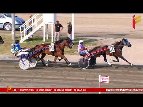 III Corsa del 28 Giugno 2023 - 3 Anni - Metri 2000/2020 - Gentlemen