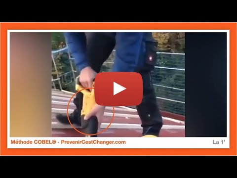 #249 - Comment utiliser les outils à main ?