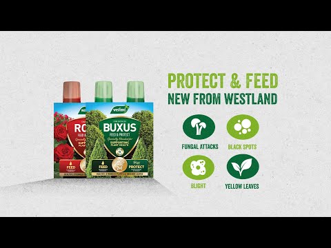 2 in 1 feed and protect rose Video