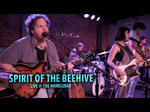 SPIRIT OF THE BEEHIVE - Live at The Handlebar - Pensacola, FL - June 13, 2023