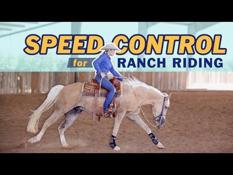 Teach EXTENDED to SLOW LOPE transitions for Ranch Riding