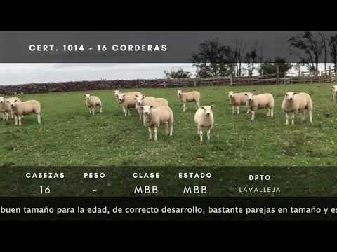 Lote 16 Corderas Texel en Ruta 14 a 3km de R8 - Paraje Retamosa
