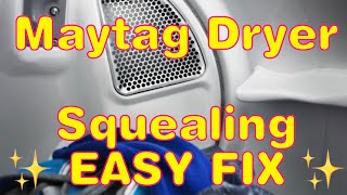✨ MAYTAG DRYER SQUEELING—FIXED ✨