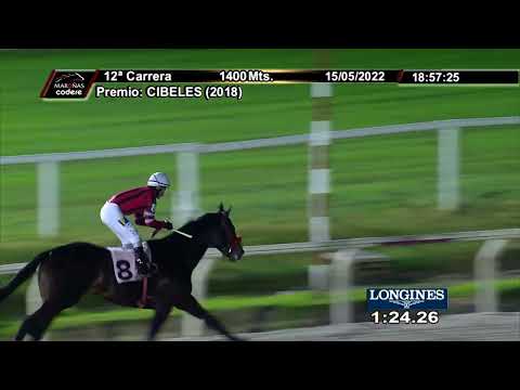 220515 c12 LUCKY TRICK (BRZ)