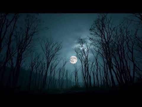 NONAMES - I HATE THIS SONG (Official Music Video Lyric)