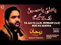 YA ALI YA HUSSAIN RUK NA SAKEGA REHAN ALI FIRDOSI VOL 09 2020 1442