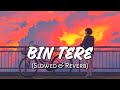 Bin Tere ( Slowed & Reverb ) | Khoka 420 | Dev | Bengali Lofi