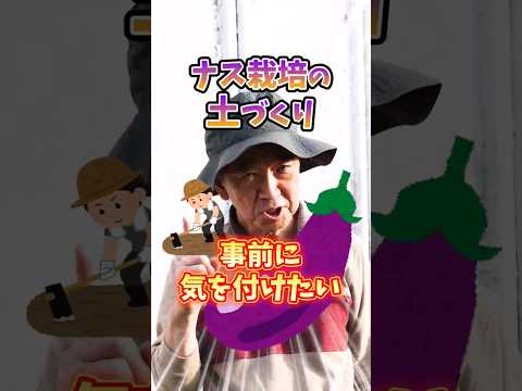 園芸 ナス ナス
