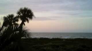 Sunday - Molly Johnson