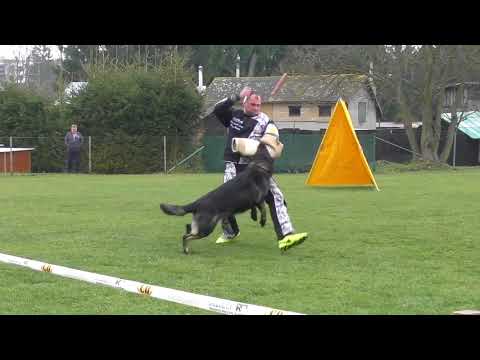 Svod NO 2017 - Akim z Týneckých břízek