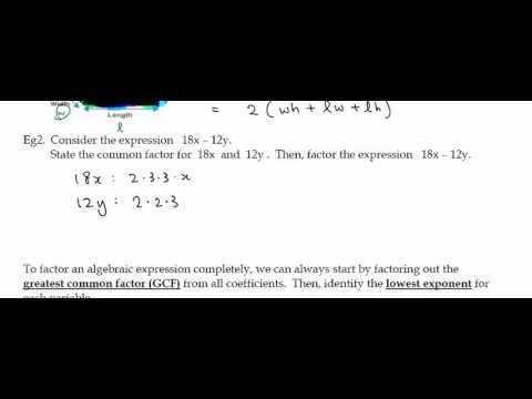 M10 pDp Poly L2 Eg2