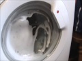 Hoover Slimdepth Suds Defence