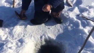 Ссылка