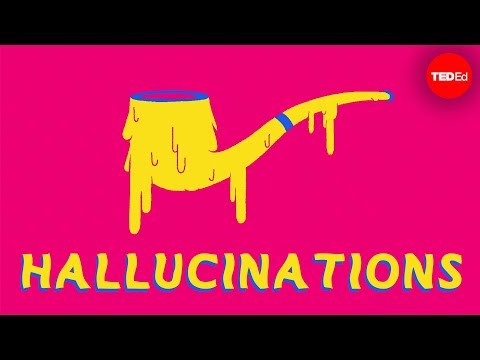 What causes hallucinations? – Elizabeth Cox