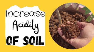 How To Get Acidic Soil | How to Decrease Soil ph | How To Balance Soil ph | Acidic Soil For Plants