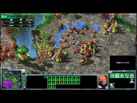 HDWT Dimaga v QxC g1