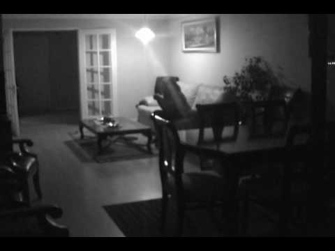 bang wa cherry - chin chin !!