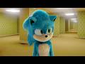 Sonic In The Backrooms