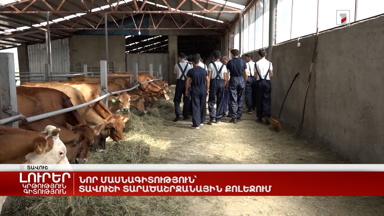 Նոր մասնագիտություն՝ Տավուշի տարածաշրջանային քոլեջում