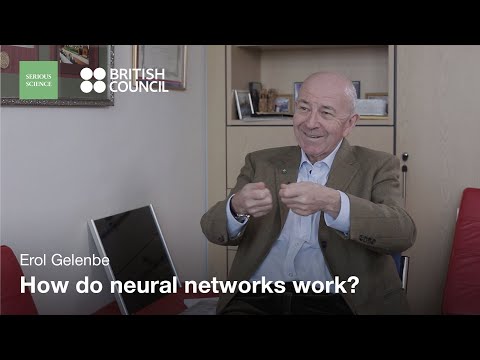 Redes neuronales – Erol Gelenbe / Ciencia seria