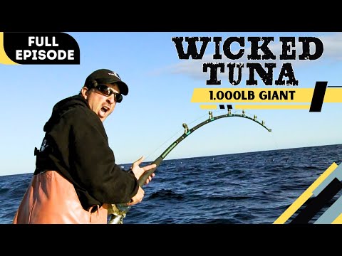Wicked Tuna- Last Chance Bite [1,000lb Giant] Sn 1 | Ep 10 (Full Show)