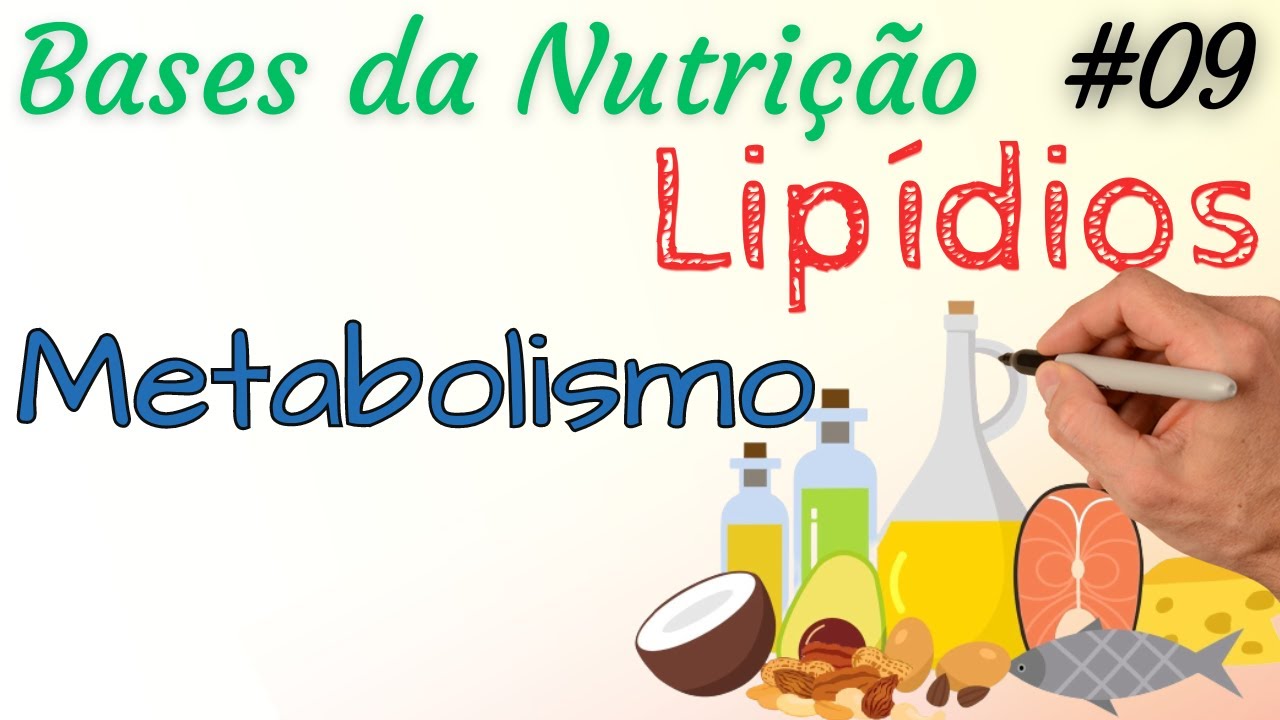LIPÍDIOS: Metabolismo - Lipólise Lipogênese Beta oxidação - Bases da Nutrição 09