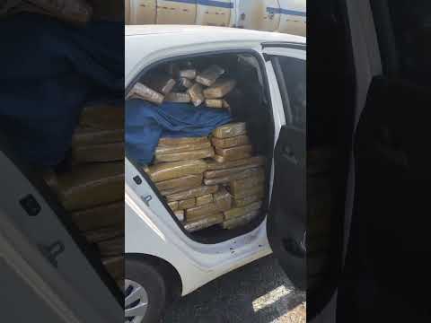 Policiamento Rodoviário apreende mais de meia tonelada de droga em Nhandeara