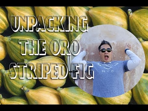 Unpacking the  Fiorone Oro (Rosato) Fig 2018