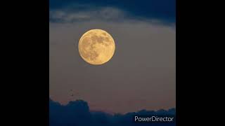 Canto de Luna - Canto de Temazcal