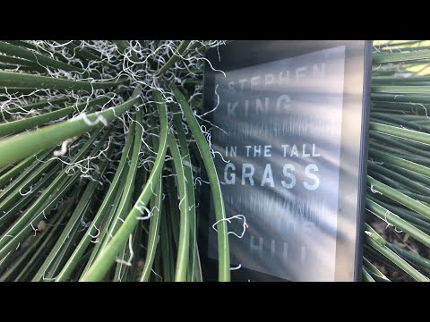 video thumnail