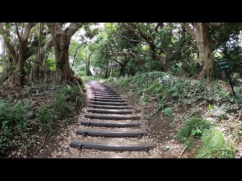 那古山遊歩道