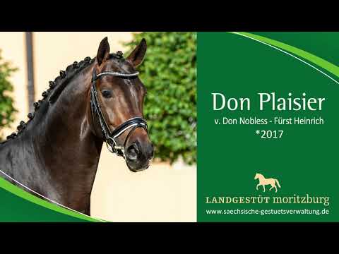 DON PLAISIER v. Don Nobless – Fürst Heinrich