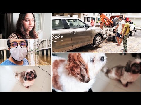 Our Puppy is depressed | 5 days of Suffering- Life Update | Car broke down