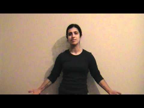 Música «Parva que sou», dos Deolinda, em Língua Gestual Portuguesa