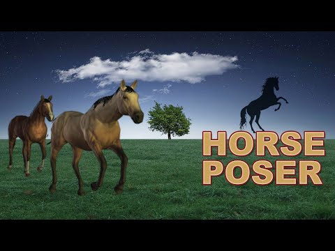 Horse Poser
