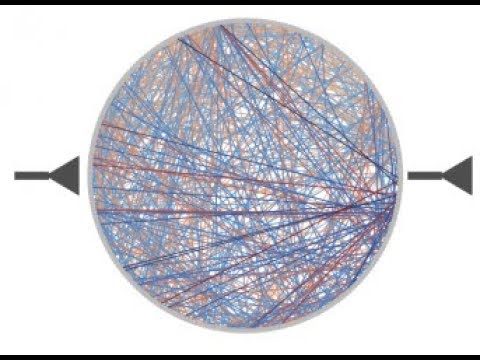 X. J. Wang - From cognitive-type neural microcircuits to the global brain