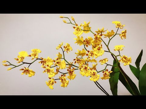 ABC TV | How To Make Oncidium Orchid Paper Flower | Flower Die Cuts - Craft Tutorial