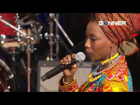 Over the Border Festival   Fatoumata Diawara