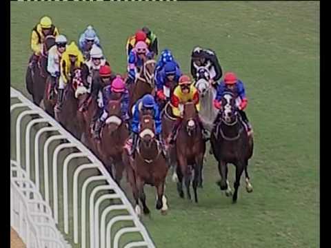 Legislate - 2014 Vodacom Durban July Gr1