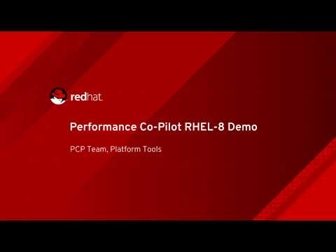 Performance Co-Pilot and Vector demo