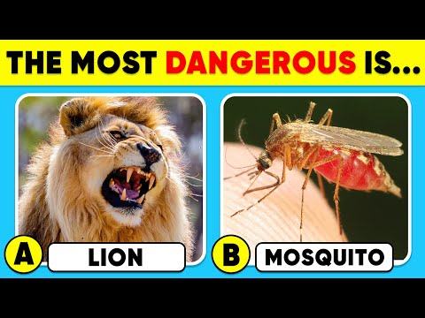 How Good Is Your Knowledge of ANIMALS? 🦁🦟✅ General Knowledge Trivia Quiz