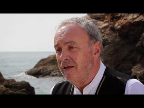 Poly Gjurgjević I Lungomare - Nevera (Official Video)