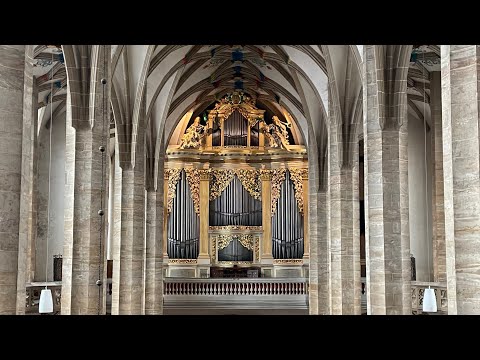 J. S. Bach: Ricercar a 6 from the Musical Offering BWV 1079 Silbermann Organ Freiberg Balint Karosi