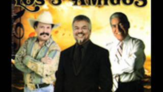 SERENATA HUASTECA - LOS TRES AMIGOS ((ESPACIO TEJANO)) 2011.wmv