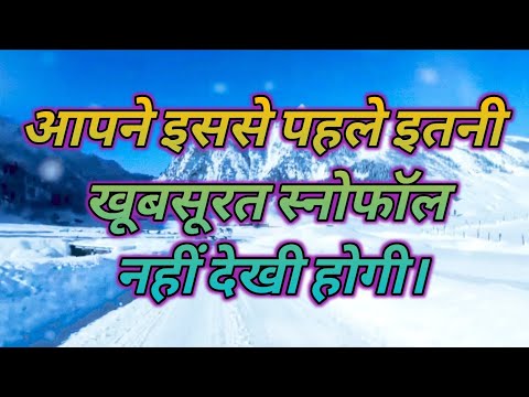 Shimla Snowfall 2023 Started #snowfall #shimla #snow #viral