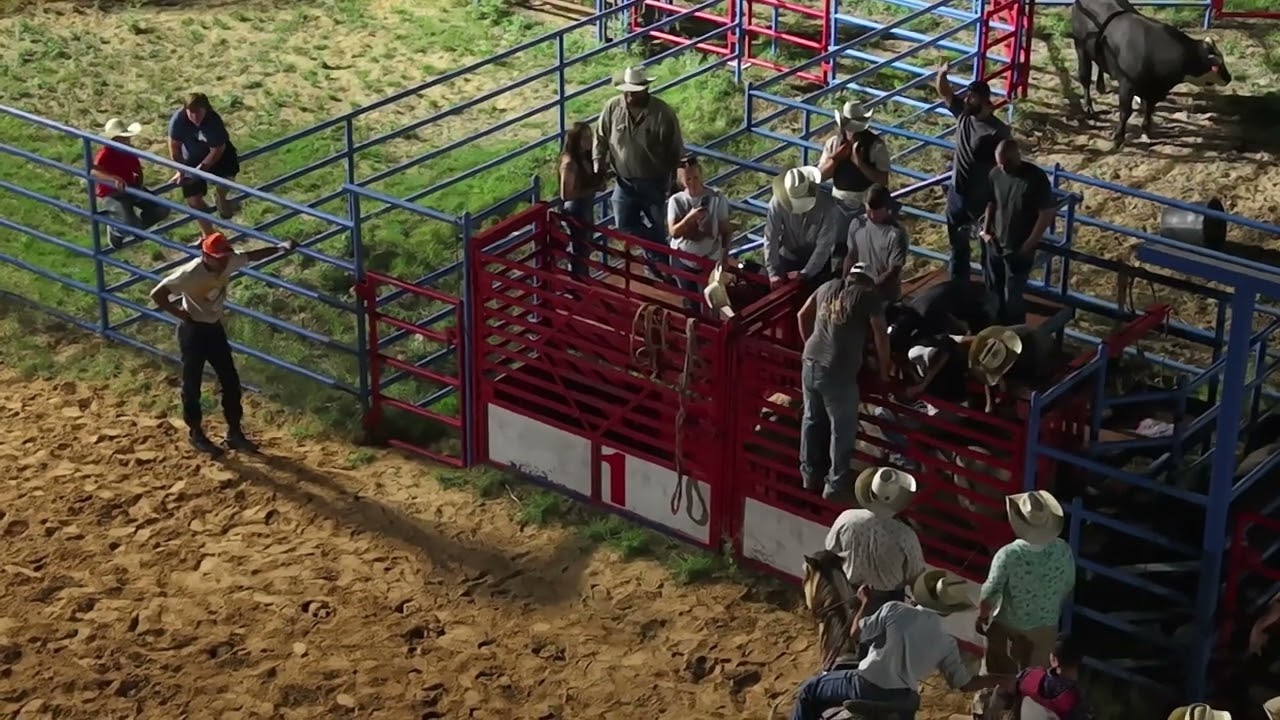 Bull Riding 6